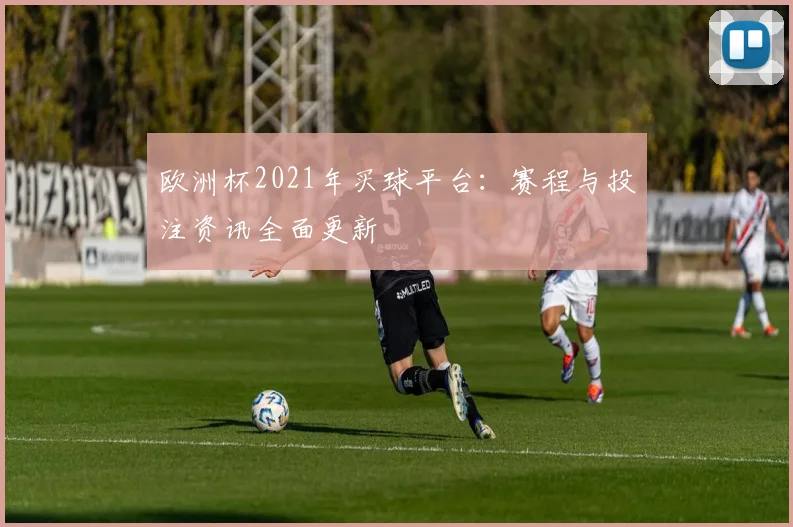 欧洲杯2021年买球平台：赛程与投注资讯全面更新